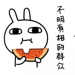 娱乐吃瓜酱独自打车,揭秘网约车行业新动态