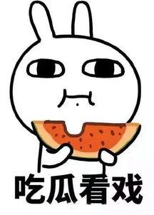 娱乐吃瓜酱真正的疼痛,真实疼痛背后的故事